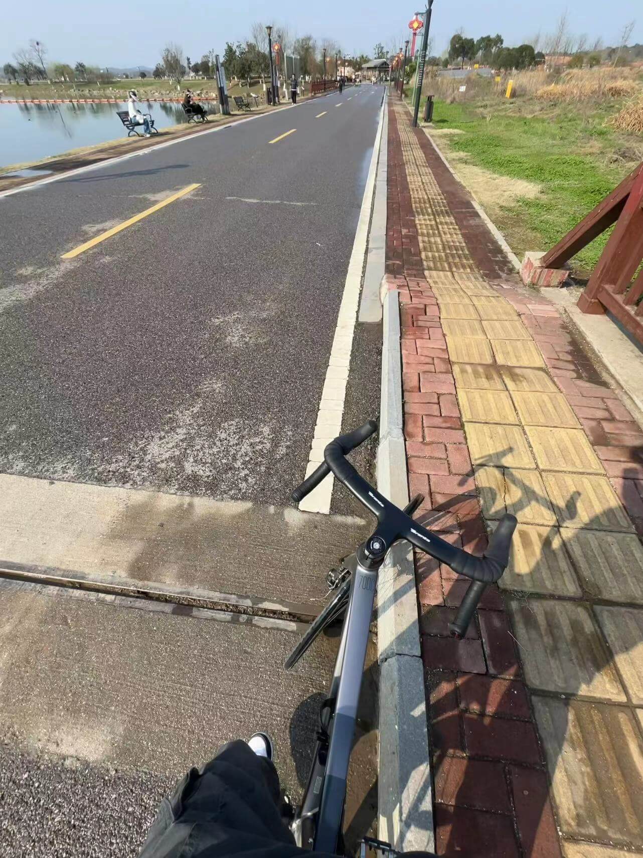 蓝莓脱肥的骑行照片