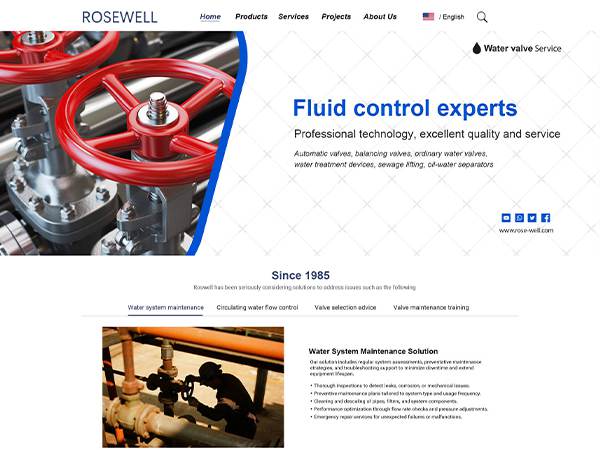 罗斯韦尔公司官网设计